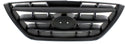 2004-2006 Hyundai Elantra Grille, Painted-Black